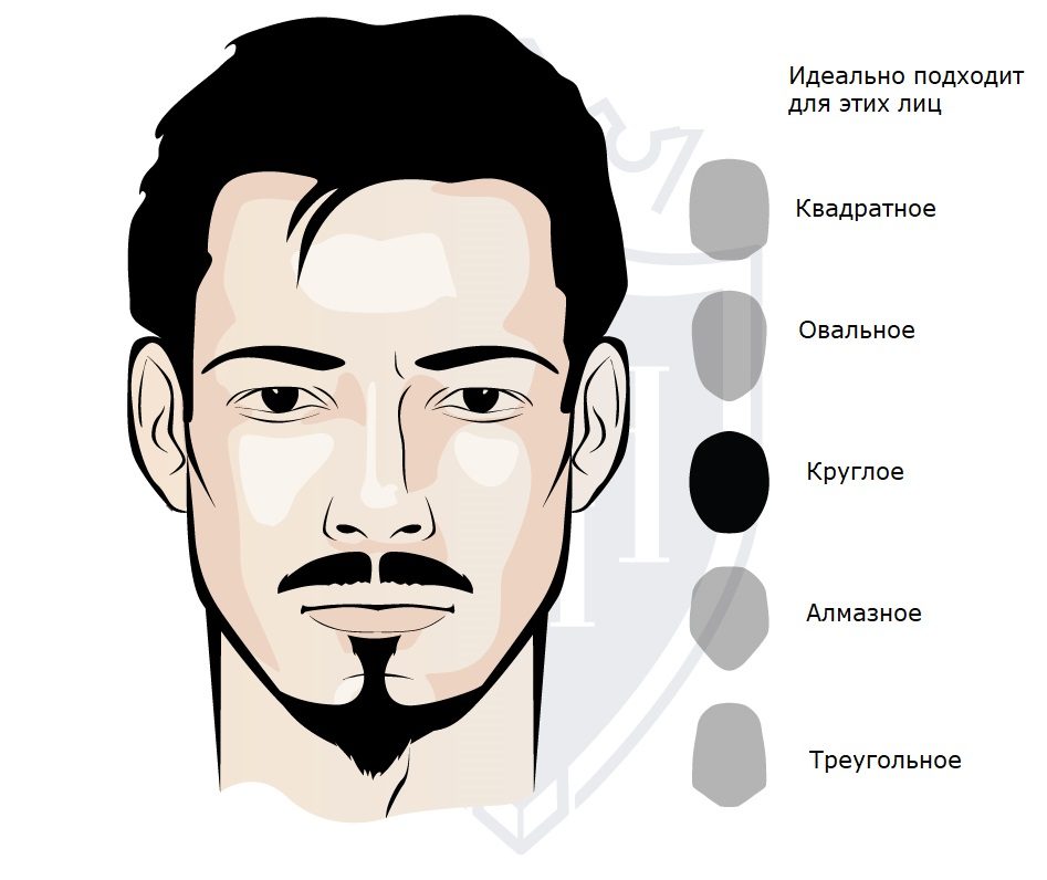 10 СТИЛЕЙ ПРИЧЕСОК ПОД СТИЛЬНУЮ БОРОДУ, КОТОРЫЕ ДОЛЖЕН ЗНАТЬ КАЖДЫЙ МУЖЧИНА