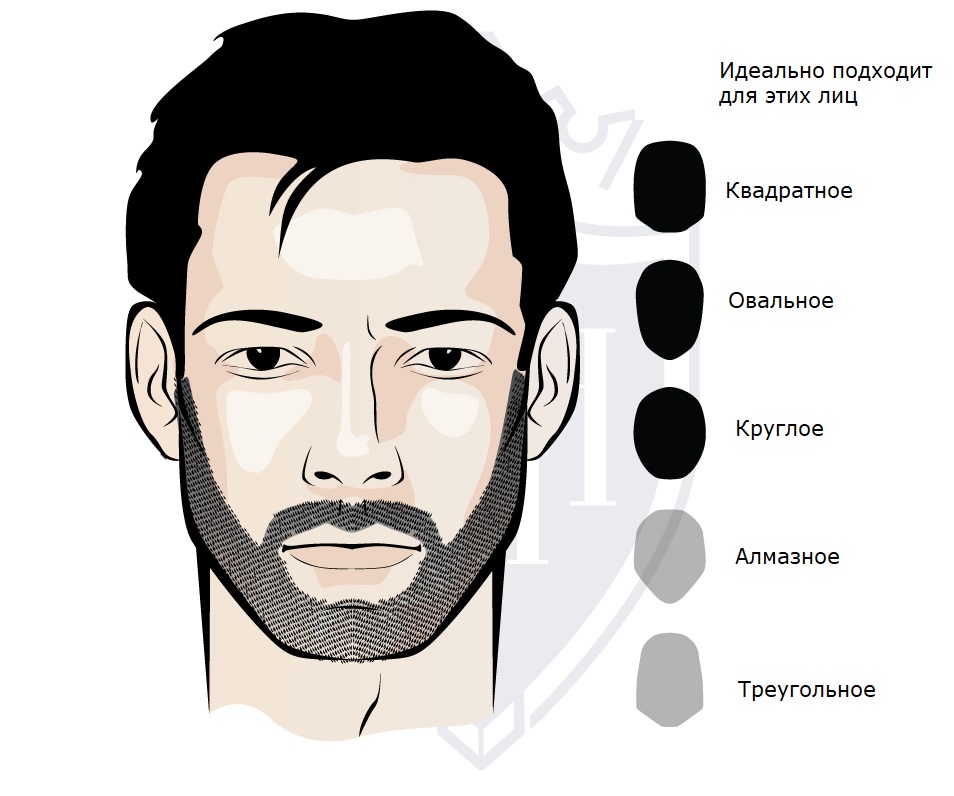 10 СТИЛЕЙ ПРИЧЕСОК ПОД СТИЛЬНУЮ БОРОДУ, КОТОРЫЕ ДОЛЖЕН ЗНАТЬ КАЖДЫЙ МУЖЧИНА