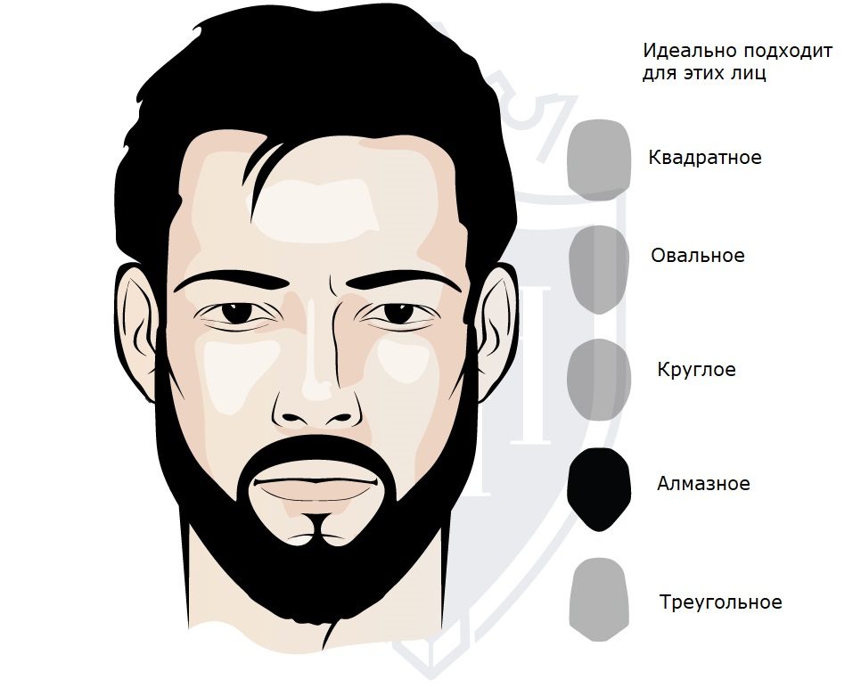 10 СТИЛЕЙ ПРИЧЕСОК ПОД СТИЛЬНУЮ БОРОДУ, КОТОРЫЕ ДОЛЖЕН ЗНАТЬ КАЖДЫЙ МУЖЧИНА