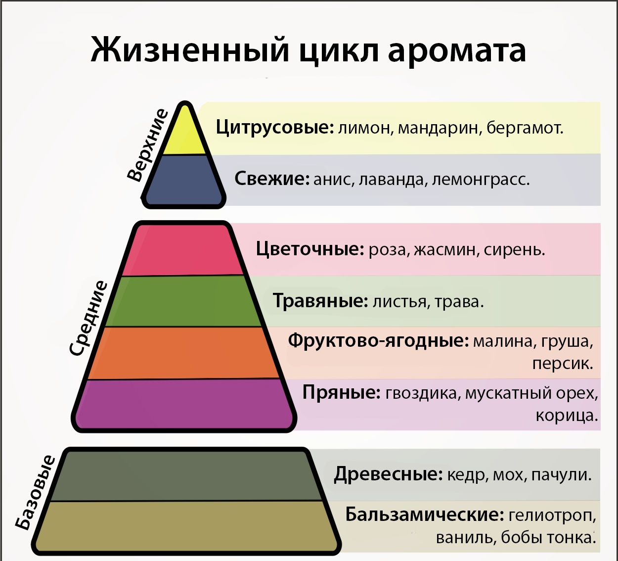 Пирамида туалетной воды. Ольфакторная пирамида аромата. Ольфакторная пирамида эфирных масел. Пирамида нот ароматов. Пирамида парфюмерной композиции.