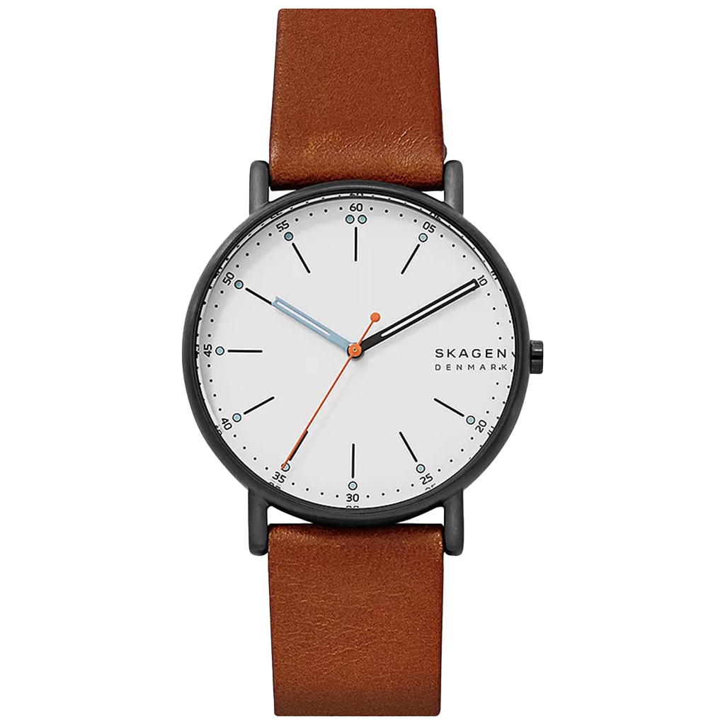 Skagen Signatur Minimalist Men's Watch