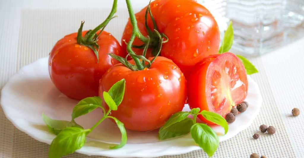 Fresh Tomatoes on a Ceramic Plate.