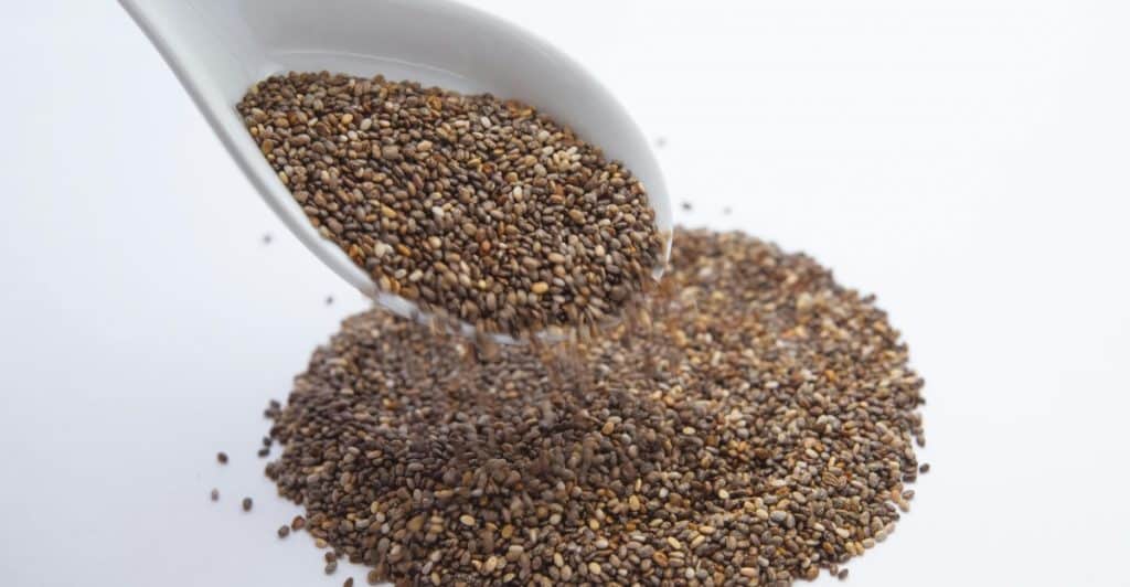 Spoonful of Chia Seeds
