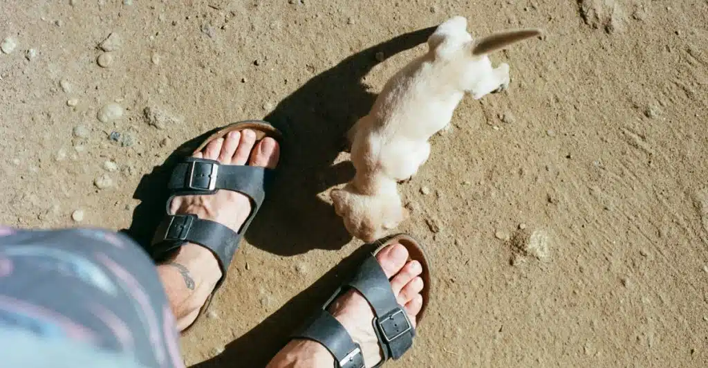 A person's feet wearing dark-colored sandals standing on a dry, dirt ground next to a small, light-colored dog.