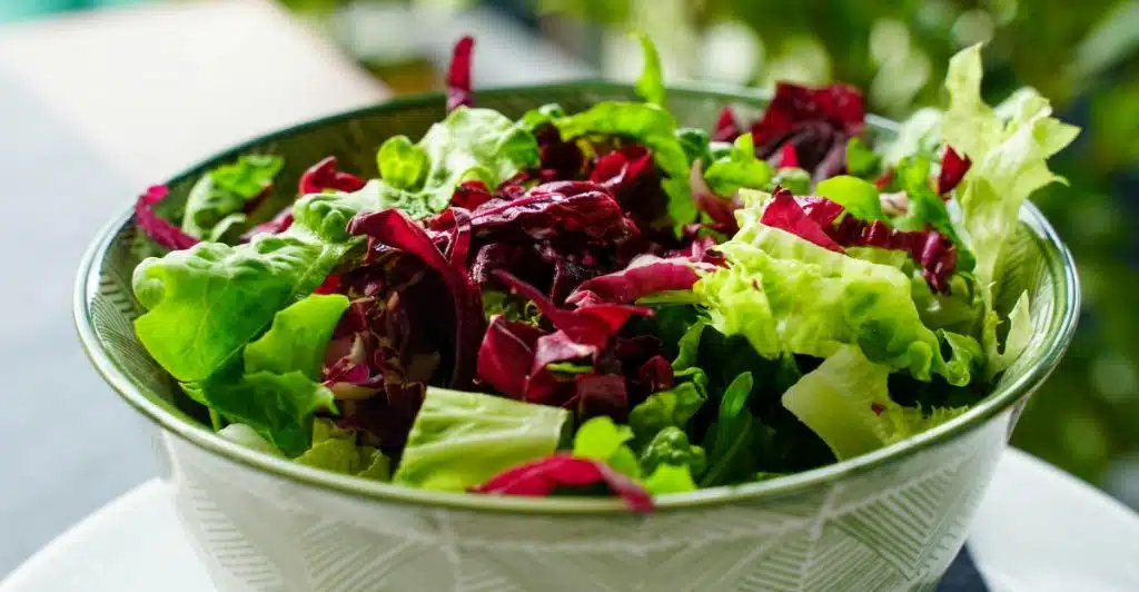 A close-up of a bowl filled with various leafy green and red lettuces.