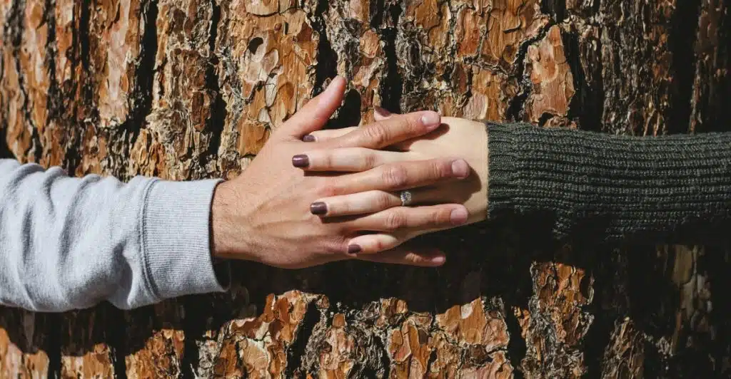 A man's and a woman's hands pressed against the textured bark of a large tree trunk, symbolizing connection and nature.