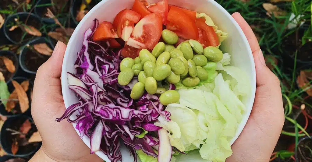 Two hands gently hold a white bowl brimming with a fresh salad, featuring bright green edamame beans, quartered red tomatoes, shredded purple cabbage, and pale green lettuce.