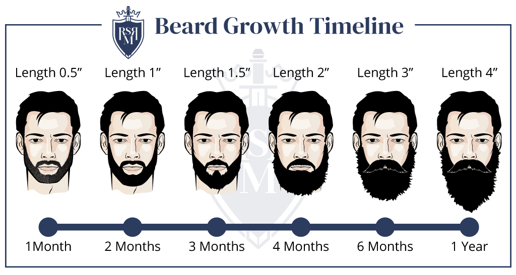 Illustrated beard growth timeline showing stages from stubble to full.
